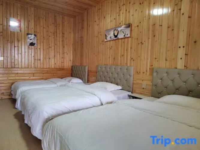 Standard Triple room with view