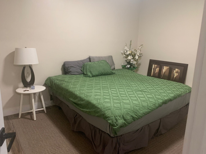 Renovated 2 Bedroom Apt Central Hamilton