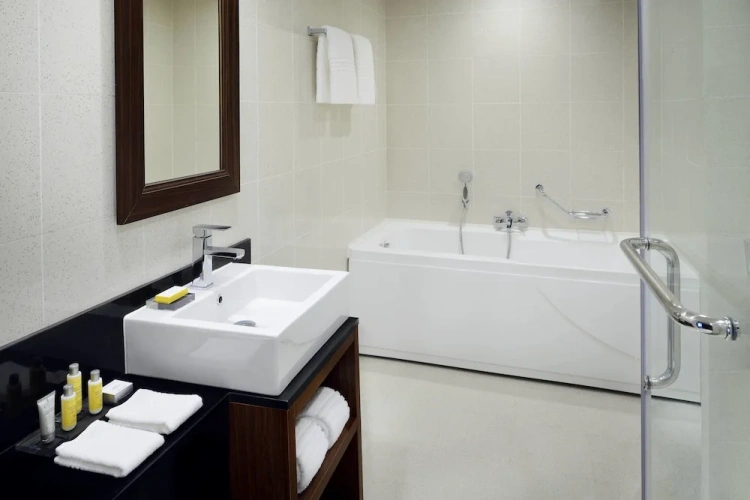 1 Bedroom Apartment with city view