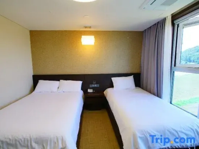 Premium Twin room