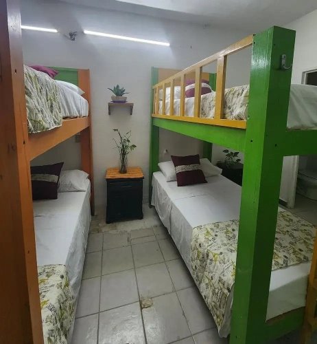 Bed in Dorm