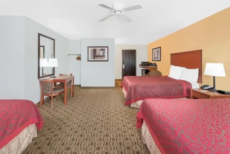 Superior Double Suite