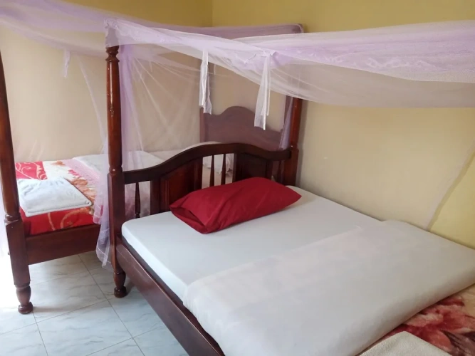 Economy Double room with garden view