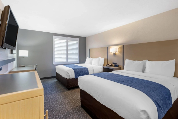 Standard Quadruple room
