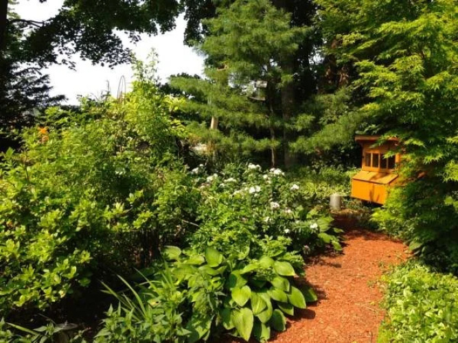 Sheppard's Place Bed & Breakfast