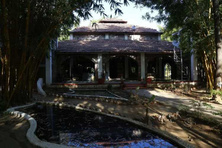 Mogli Jungle Resort