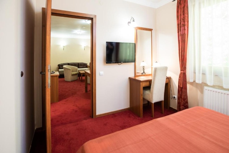 1 Bedroom Suite