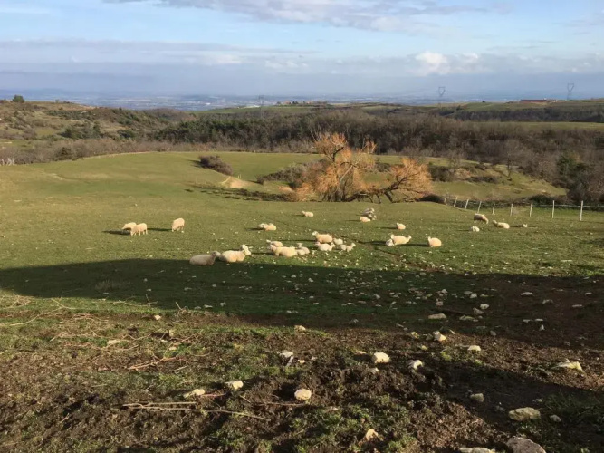 Ferme de Simondon