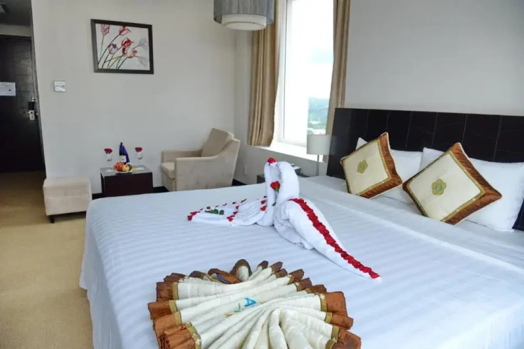Superior Double room with city view