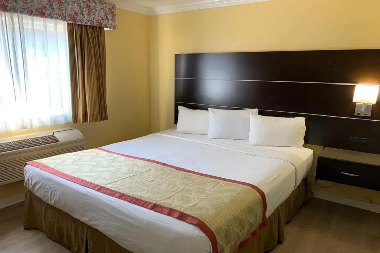 Olive Tree inn & Suites