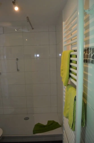 Economy Double room with balcony and with mountain view