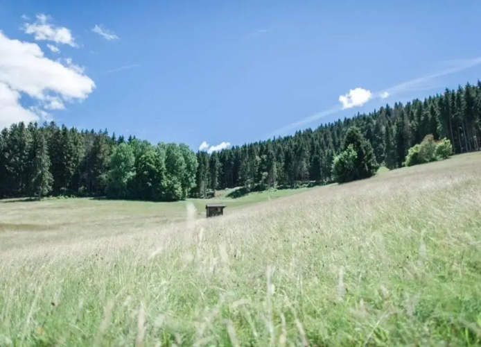 Apartment in Dachsberg-urberg