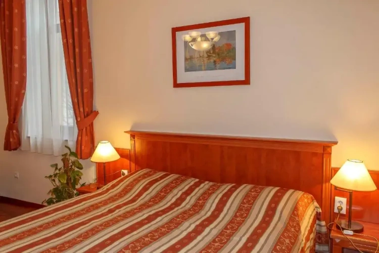 Standard Twin room with view