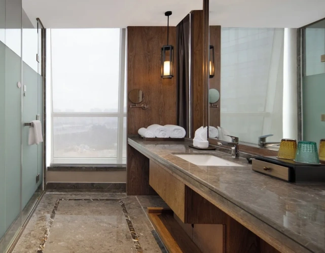 Deluxe Double Suite with city view