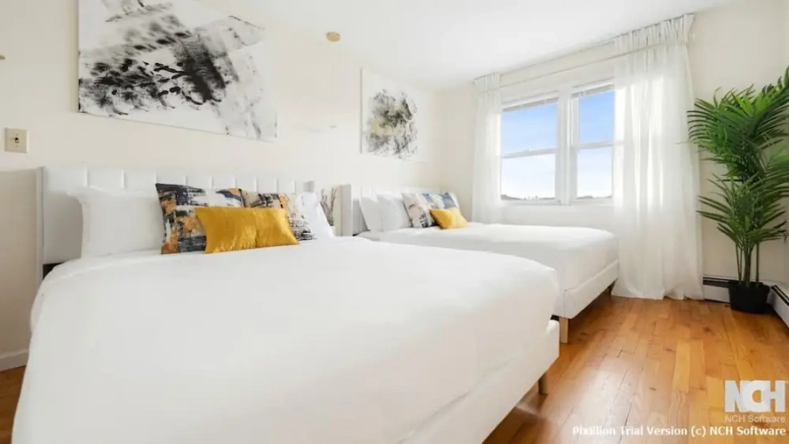 Luxury Apartment