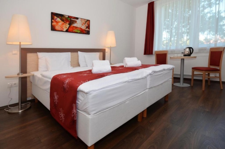 Superior Double room with balcony and with view