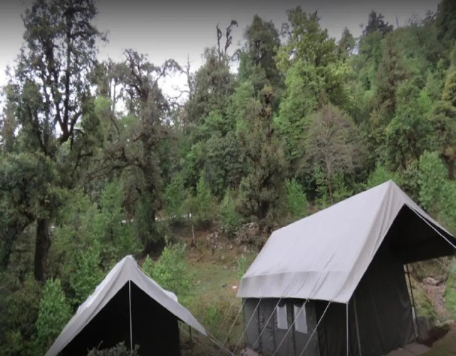 Camping At Natures Nest