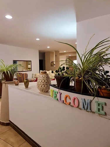 HoSTEL LIS FLOWER