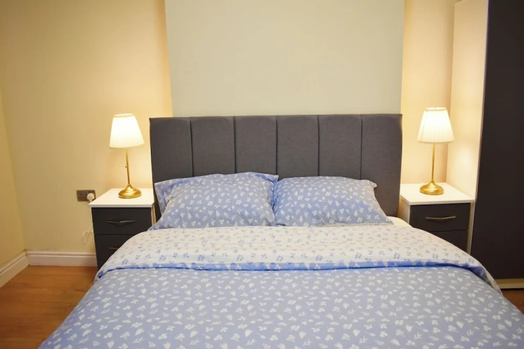 1 Bedroom Classic Apartment