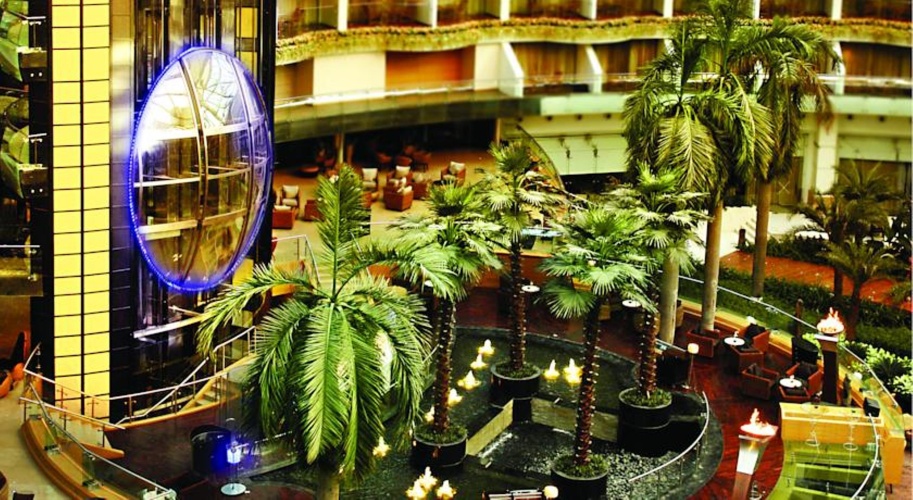 Sahara Star photo 21