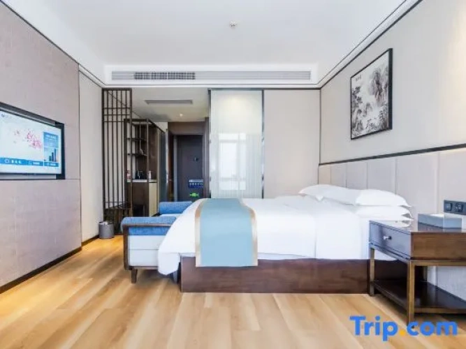 Premier Double room with city view