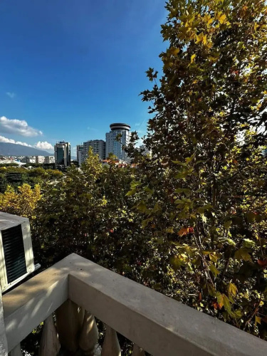 Cityview Studio Central Comfort