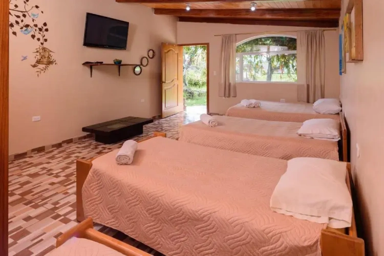 Standard Quadruple room