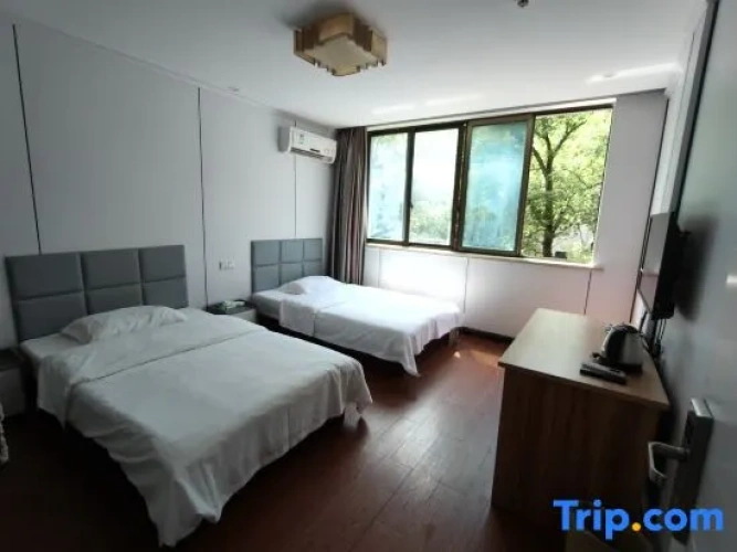 Standard Twin room with view