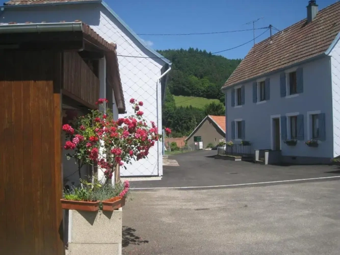 Cottage