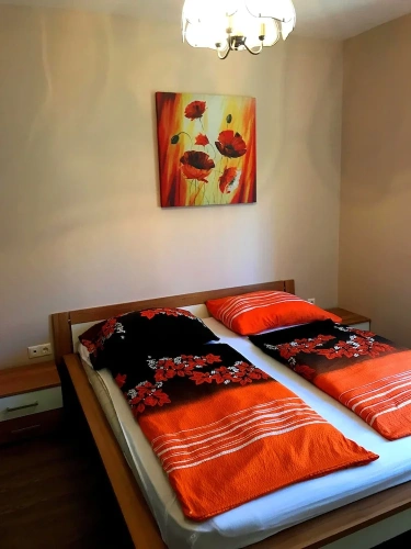 1 Bedroom Standard Apartment with balcony