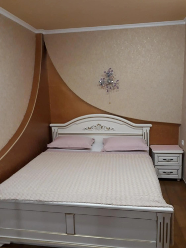 Comfortable Apartment