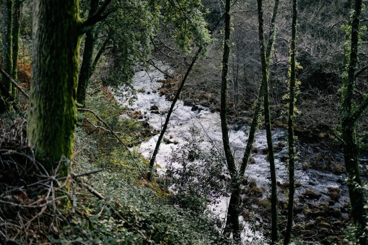 The VALLEY
