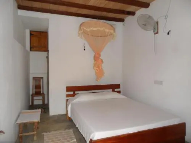 Dolce Vita Surf Rest Point