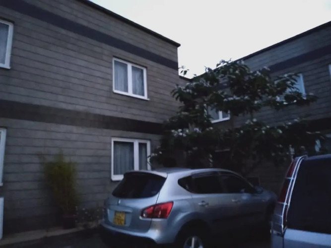 Cozy ApartmentOver view