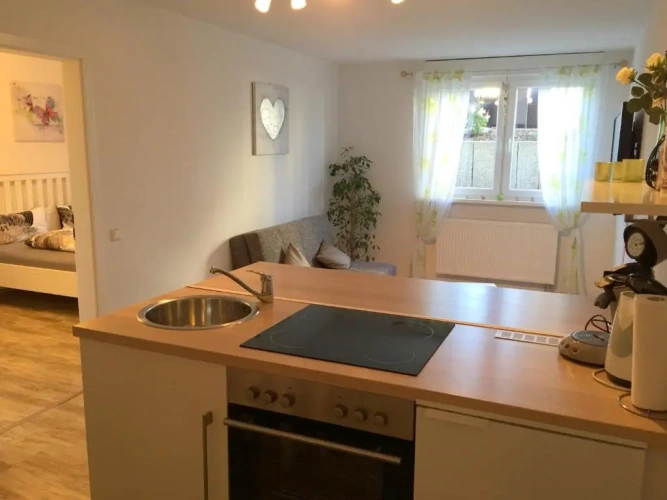 1 Bedroom Apartment