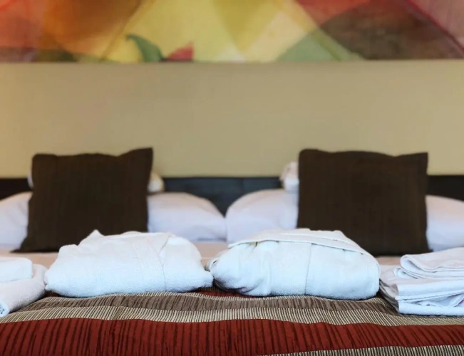 Premium Double room with balcony and with view