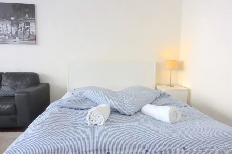 Deluxe Studio with POCKET WIFI