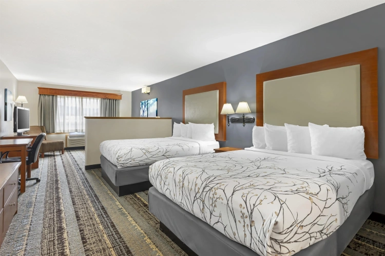 Standard Quadruple room