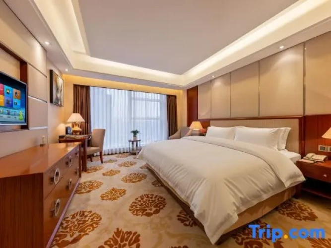 Executive Double Suite