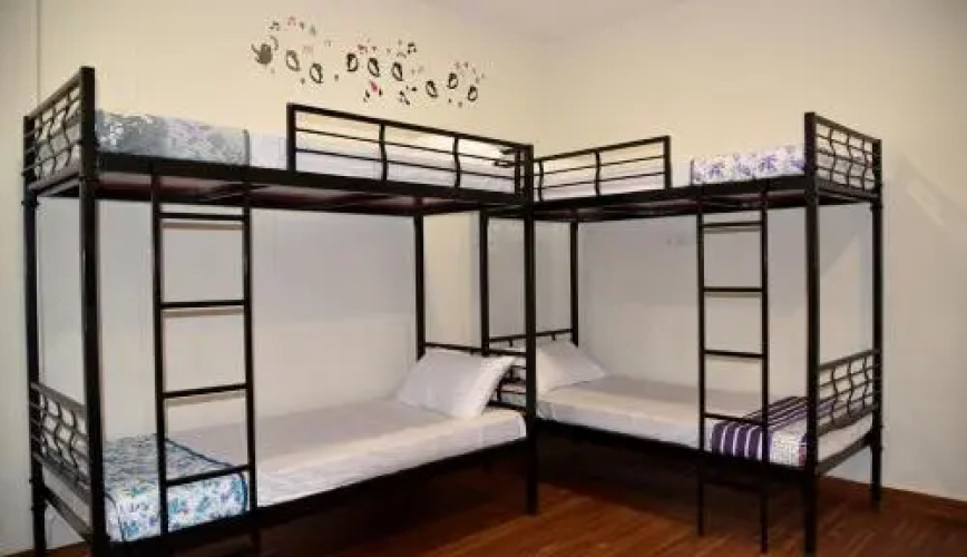 Jolly Poolside Hostel