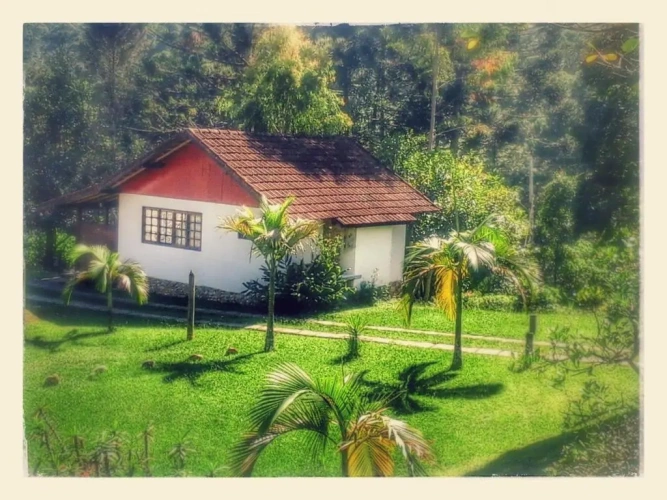 Superior Chalet with balcony and with view