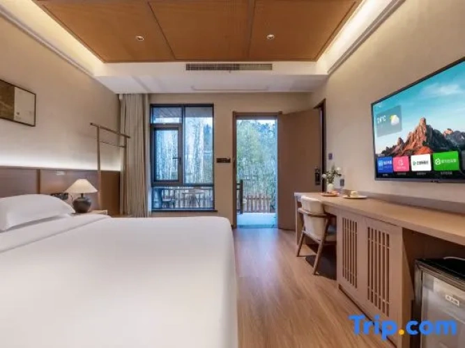 Standard Double room with courtyard view