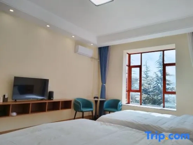 Standard Twin room with view
