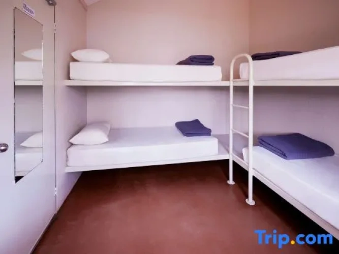 Bed in Dorm
