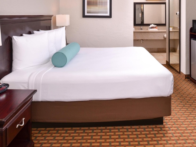 Mobility Accessible Double room