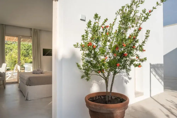 Tenuta DonnAnna