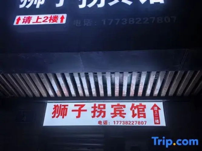 Lion Abduction Hotel