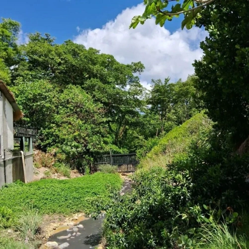 Cottage