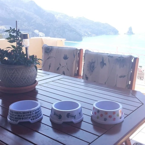 1 Bedroom Apartment with balcony