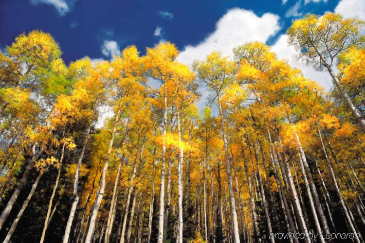 Downtown Aspen Luxury 3 Bedroom Residence